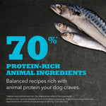 Three fish on a dark background with text about protein-rich animal ingredients.