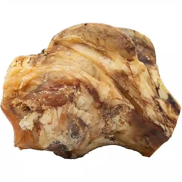 Asado beef knuckle bone on a white background