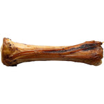 Shin bone on a white background