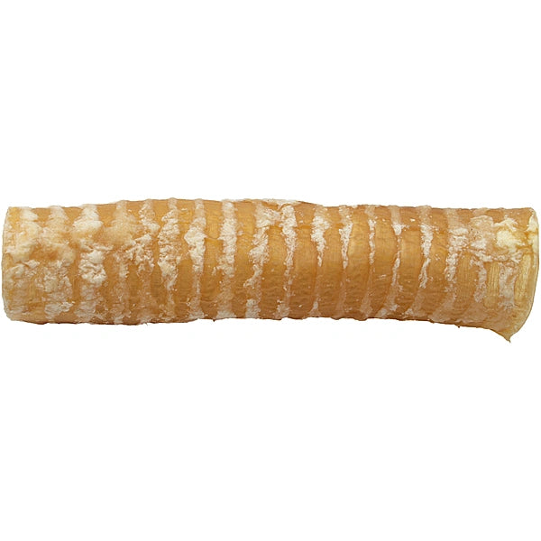 Rolled beef trachea on a white background