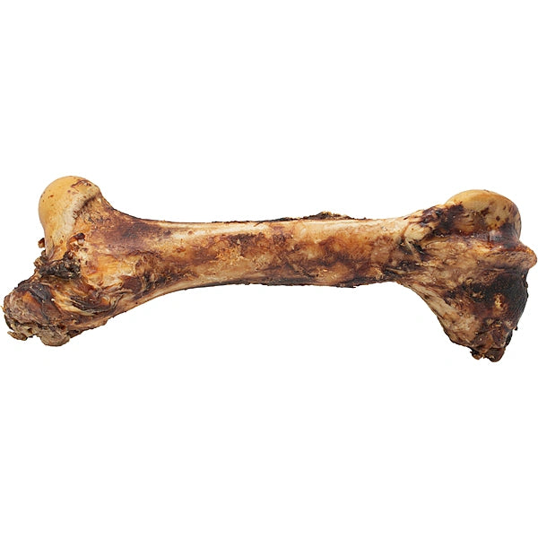 Dog bone chew on a white background