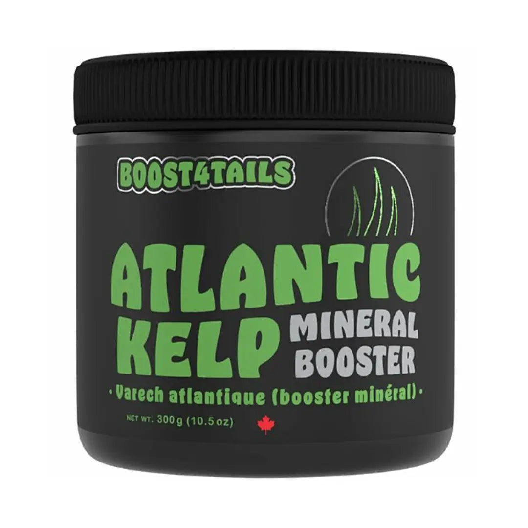 Black container of Boost4Tails Atlantic Kelp Mineral Booster on a white background