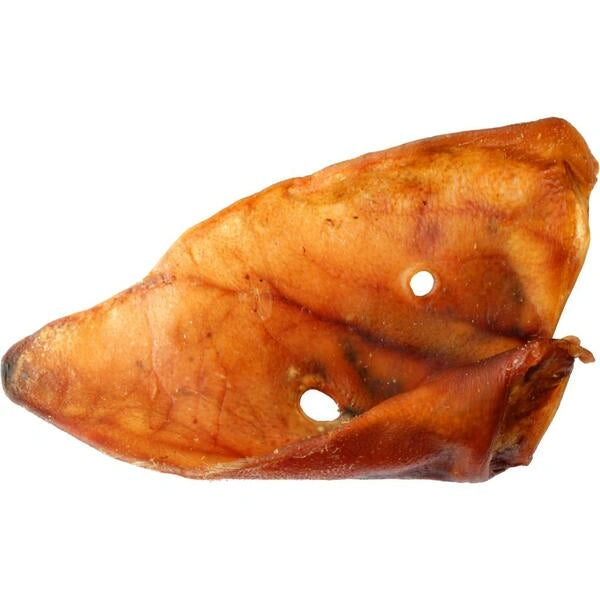 Pig ear on a white background