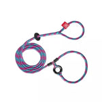 Multicolored dog leash on white background