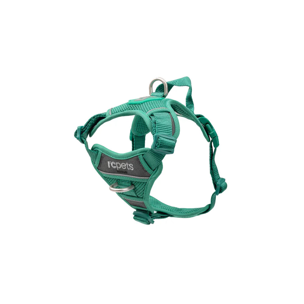 Green dog harness with 'rcpets' branding on a white background