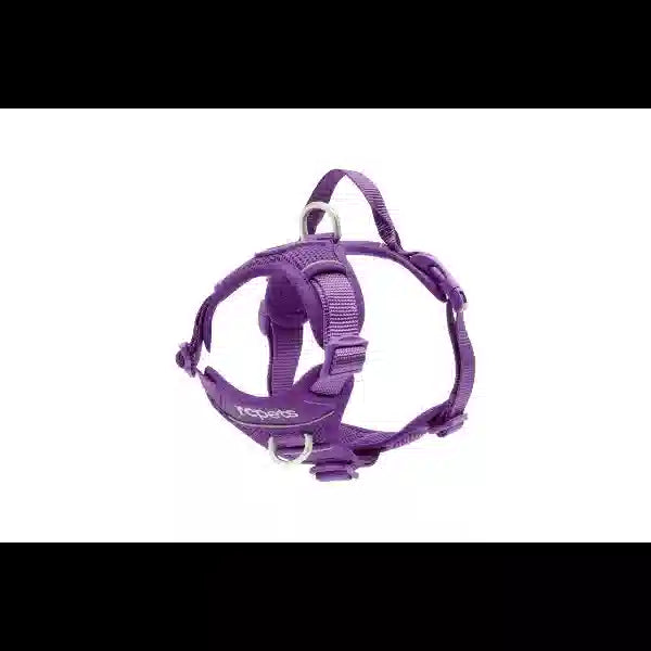 Purple dog harness on a white background