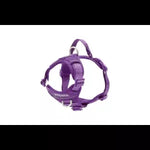 Purple dog harness on a white background