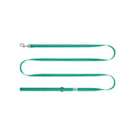 Green dog leash on a white background