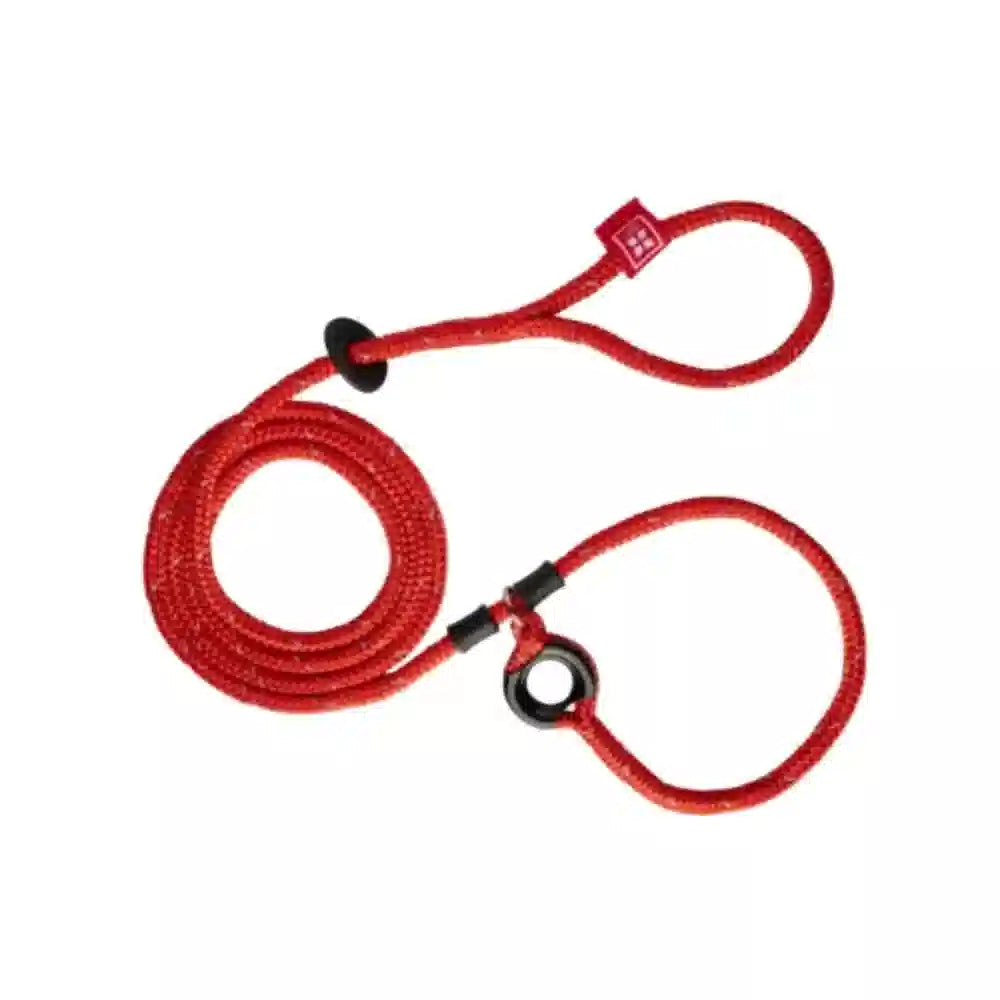 Red dog leash with a white background