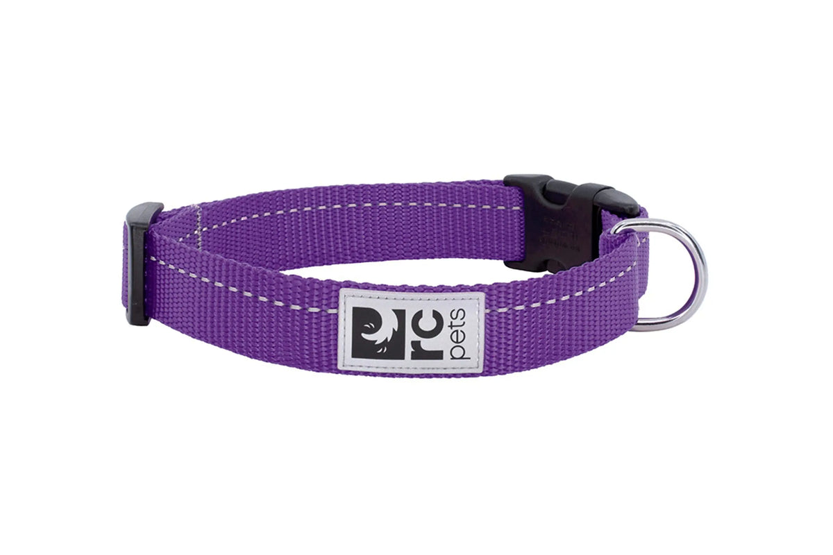Purple dog collar with a visible brand logo on a white background