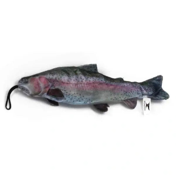 Steel Dog Freshwater Fish w/Rope Toy (Rainbow) | SCK